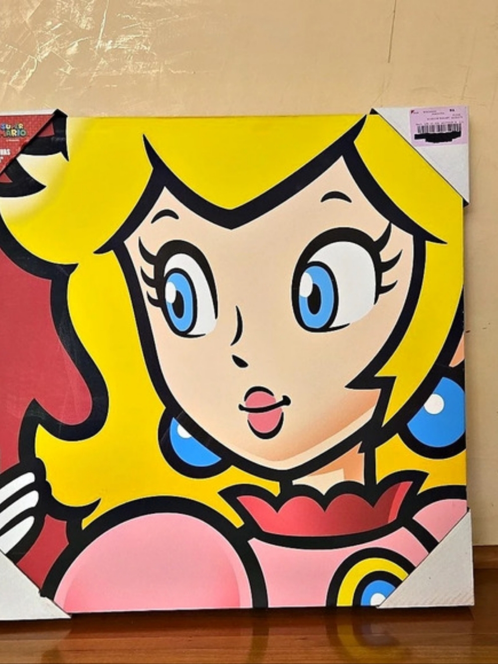 Pyramid America Super Mario Peach Canvas 16 x 16 Print